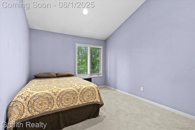 2018 Pine Hollow Trl, Brighton, MI 48114 - photo 36