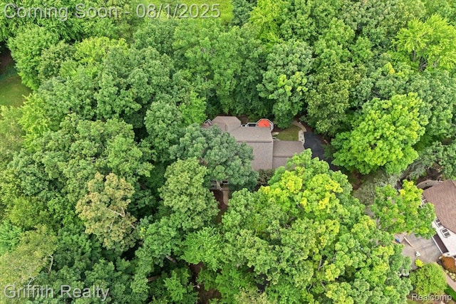 2018 Pine Hollow Trl, Brighton, MI 48114 - photo 61