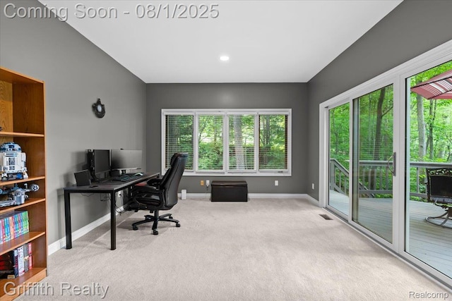 2018 Pine Hollow Trl, Brighton, MI 48114 - photo 16