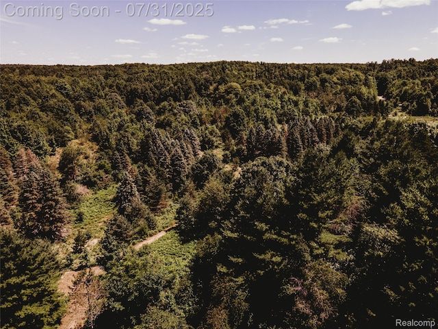 3550 Scholl Rd, Mancelona, MI 49659 - photo 26