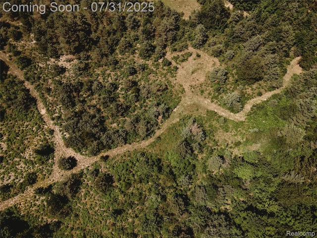 3550 Scholl Rd, Mancelona, MI 49659 - photo 32