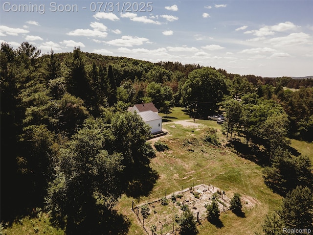 3550 Scholl Rd, Mancelona, MI 49659 - photo 21