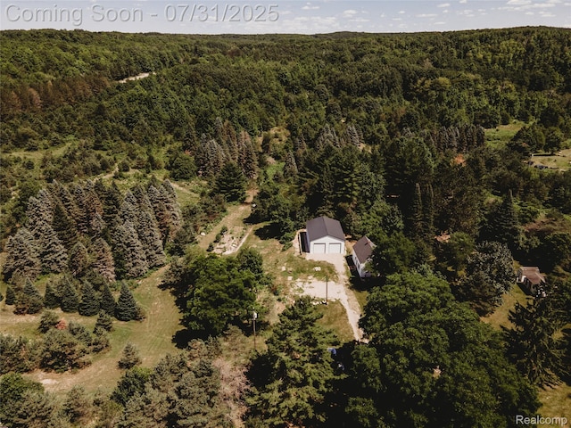 3550 Scholl Rd, Mancelona, MI 49659 - photo 1