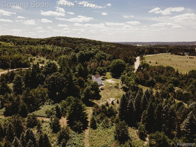 3550 Scholl Rd, Mancelona, MI 49659 - photo 29