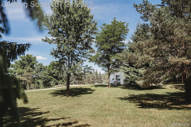 3550 Scholl Rd, Mancelona, MI 49659 - photo 34