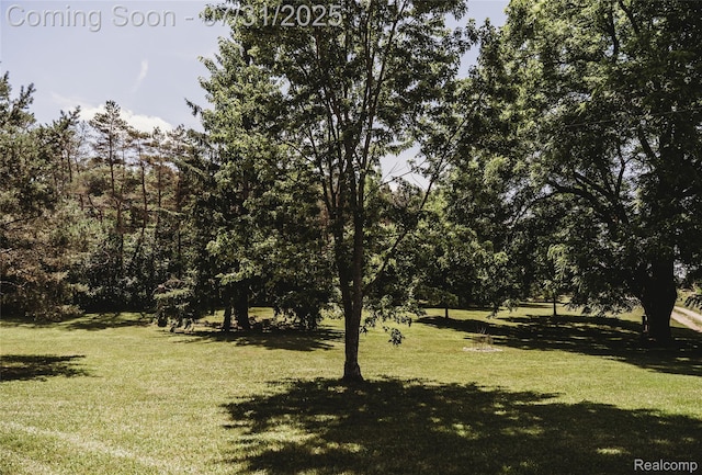 3550 Scholl Rd, Mancelona, MI 49659 - photo 35