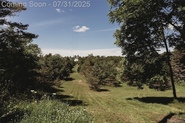 3550 Scholl Rd, Mancelona, MI 49659 - photo 37
