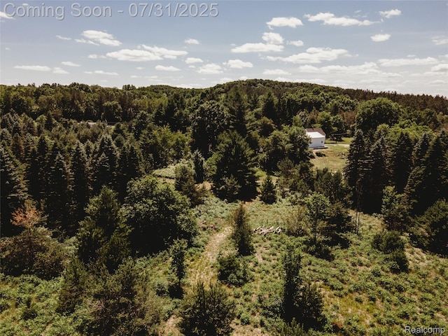 3550 Scholl Rd, Mancelona, MI 49659 - photo 30
