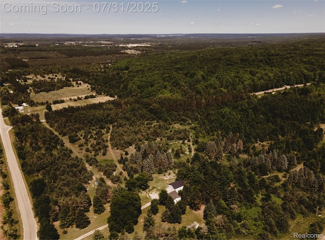 3550 Scholl Rd, Mancelona, MI 49659 - photo 2