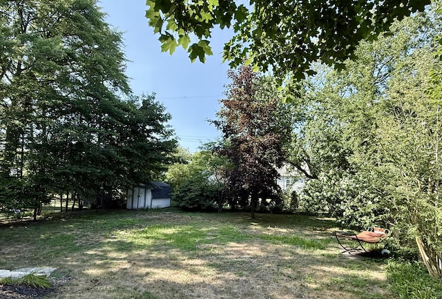 1115 Park Ave, Grand Haven, MI 49417 - photo 8