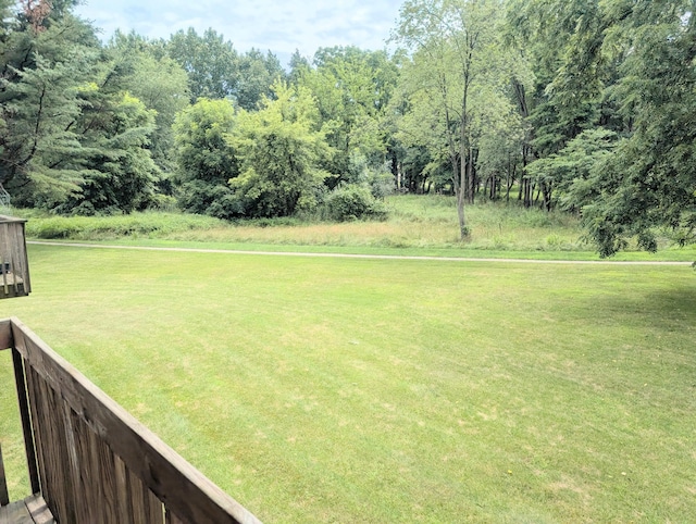 168 Pheasant Run, Battle Creek, MI 49015 - photo 53