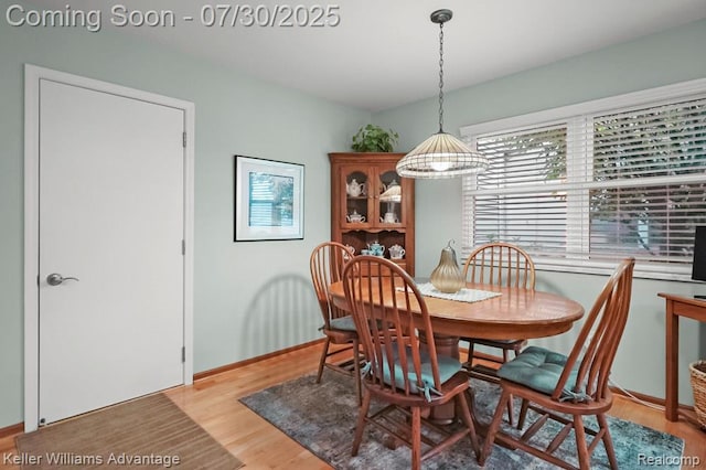 19690 Cardene Way, Northville, MI 48167 - photo 15