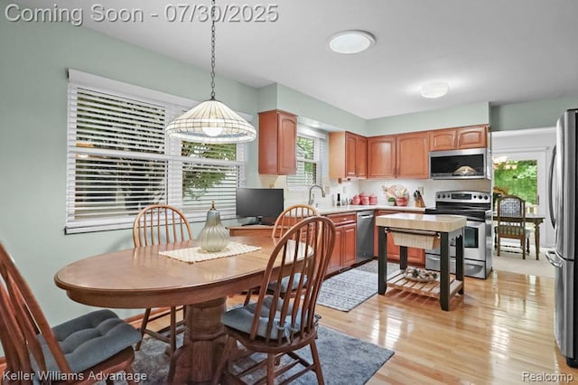 19690 Cardene Way, Northville, MI 48167 - photo 16