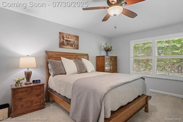 19690 Cardene Way, Northville, MI 48167 - photo 18