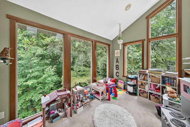 68707 Bois De Leo Dr, White Pigeon, MI 49099 - photo 16