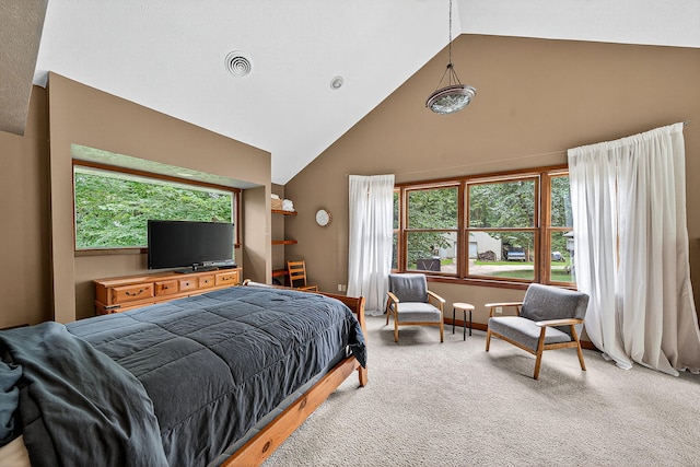 68707 Bois De Leo Dr, White Pigeon, MI 49099 - photo 20