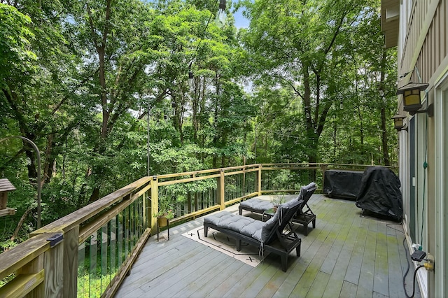68707 Bois De Leo Dr, White Pigeon, MI 49099 - photo 29