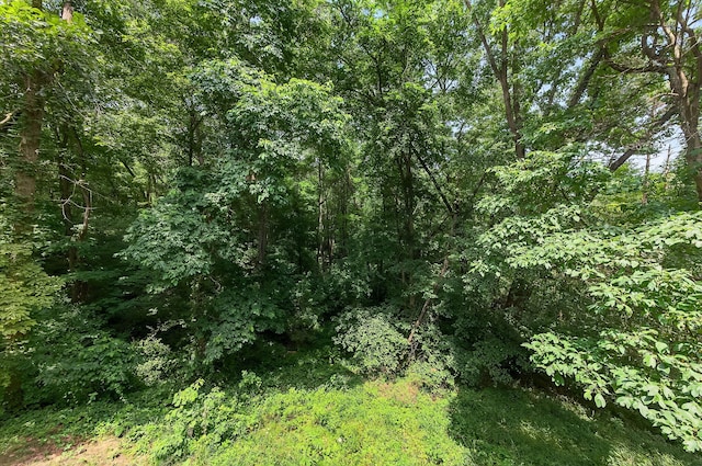 68707 Bois De Leo Dr, White Pigeon, MI 49099 - photo 31