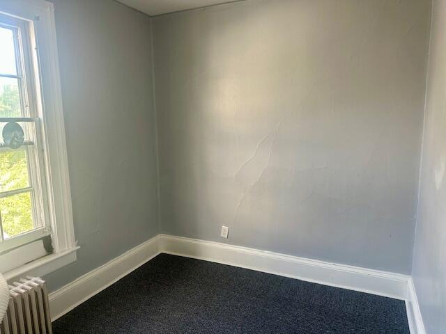 141 E Maple Ave, Adrian, MI 49221 - photo 12