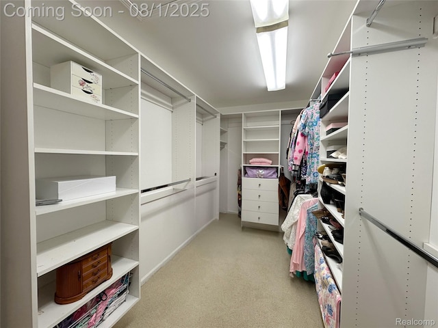 2106 Stonebridge Way, Canton, MI 48188 - photo 48