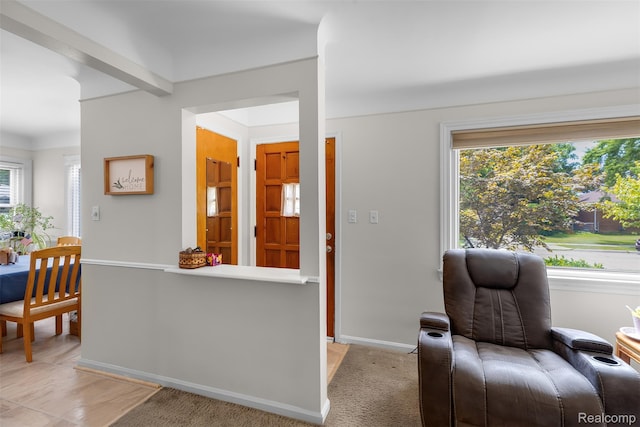 15156 Meyer Ave, Allen Park, MI 48101 - photo 10