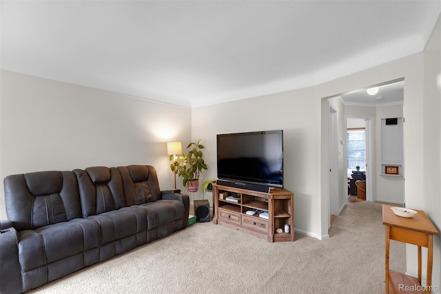15156 Meyer Ave, Allen Park, MI 48101 - photo 13