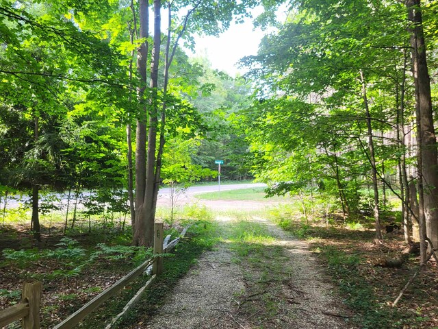 3530 Warren Rd, Beulah, MI 49617 - photo 40