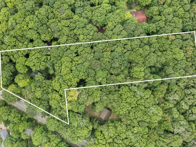3530 Warren Rd, Beulah, MI 49617 - photo 15
