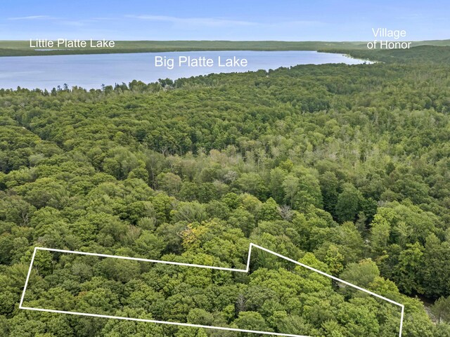 3530 Warren Rd, Beulah, MI 49617 - photo 17