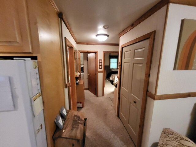 3530 Warren Rd, Beulah, MI 49617 - photo 23