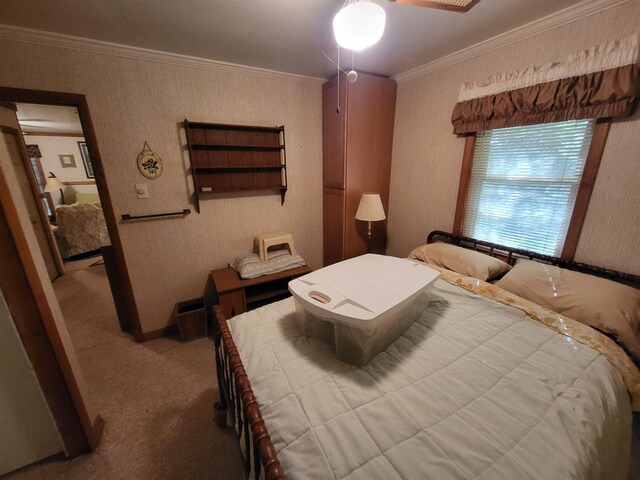 3530 Warren Rd, Beulah, MI 49617 - photo 26