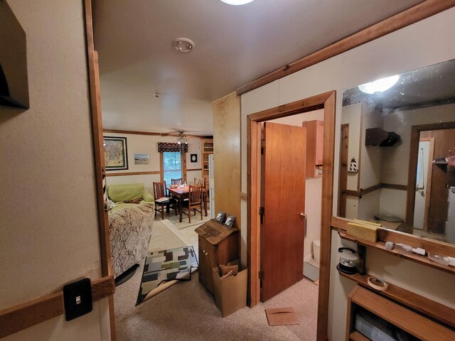 3530 Warren Rd, Beulah, MI 49617 - photo 27