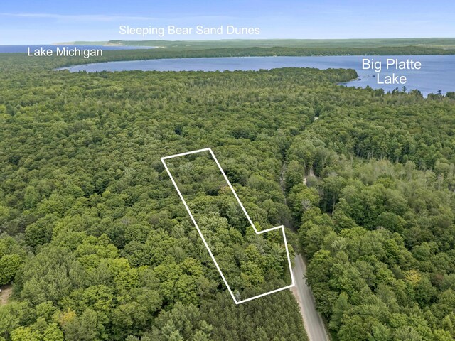 3530 Warren Rd, Beulah, MI 49617 - photo 3