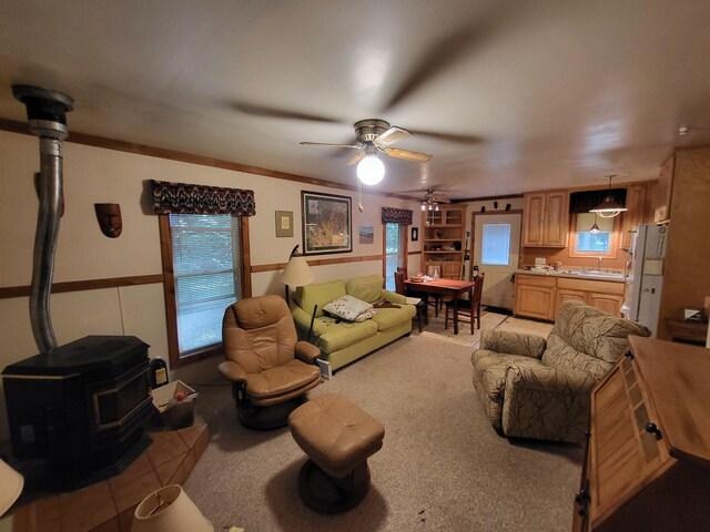 3530 Warren Rd, Beulah, MI 49617 - photo 4