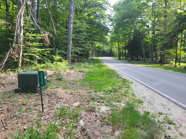 3530 Warren Rd, Beulah, MI 49617 - photo 42