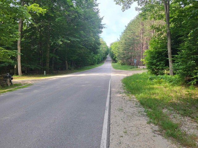 3530 Warren Rd, Beulah, MI 49617 - photo 43