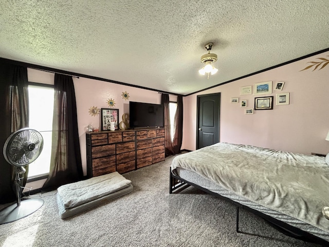 1118 E Chicago Rd, Quincy, MI 49082 - photo 14