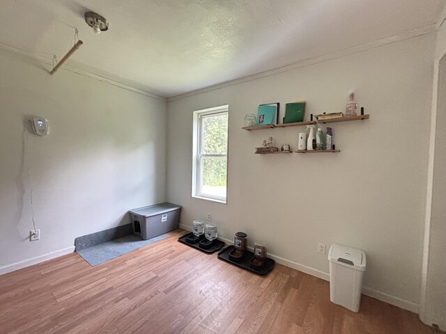 1118 E Chicago Rd, Quincy, MI 49082 - photo 21