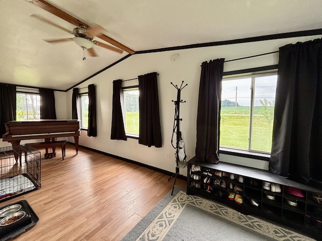 1118 E Chicago Rd, Quincy, MI 49082 - photo 4