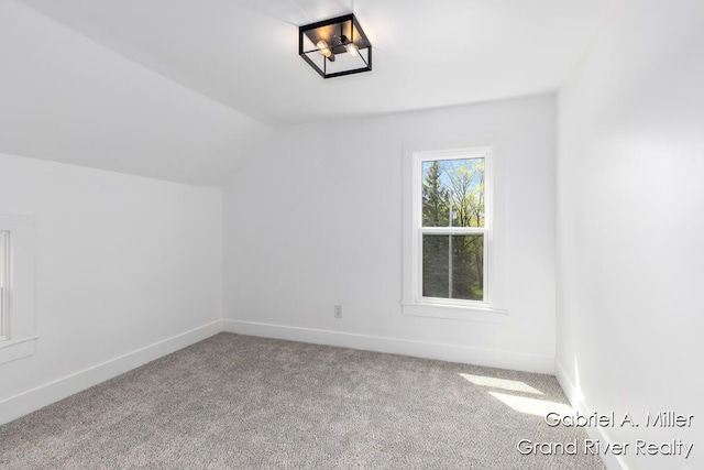 49 E 112th St, Grant, MI 49327 - photo 31