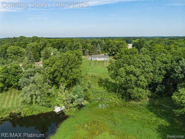 15451 Whitaker Rd, Linden, MI 48451 - photo 35