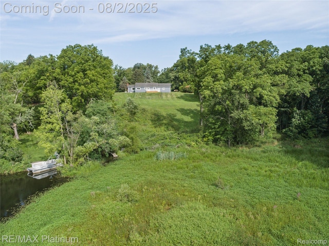 15451 Whitaker Rd, Linden, MI 48451 - photo 4