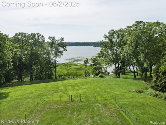15451 Whitaker Rd, Linden, MI 48451 - photo 3
