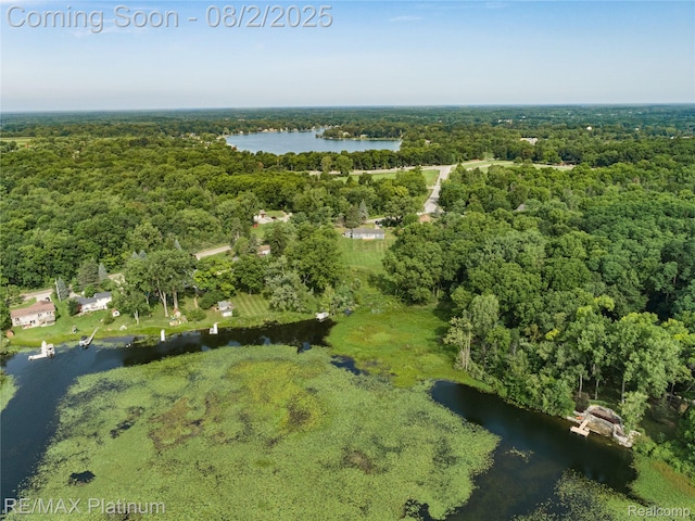 15451 Whitaker Rd, Linden, MI 48451 - photo 36