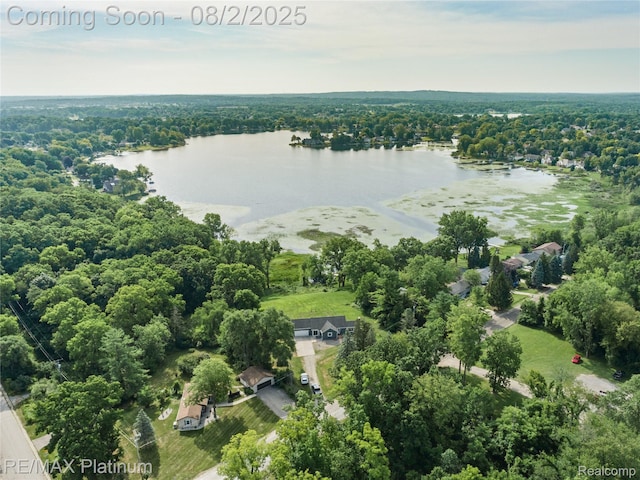 15451 Whitaker Rd, Linden, MI 48451 - photo 39