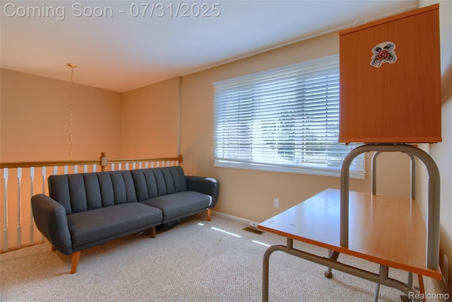 4600 Dolores Dr, Trenton, MI 48183 - photo 21