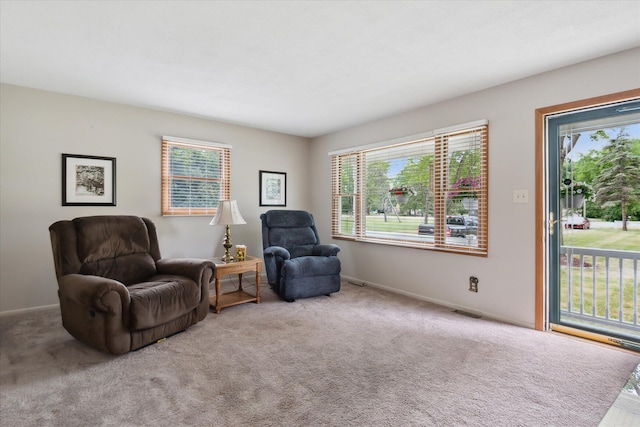 33650 Willow Rd, New Boston, MI 48164 - photo 8