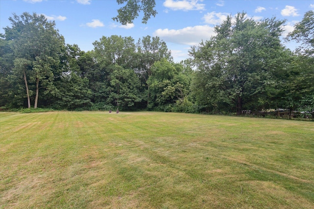 33650 Willow Rd, New Boston, MI 48164 - photo 34