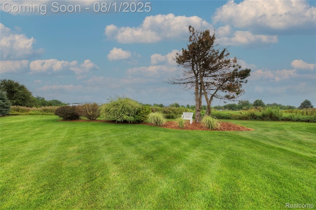 7862 Summer Breeze Trl, Howell, MI 48843 - photo 60