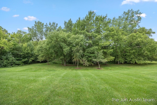 875 Cascade Hills E Drive Se, Grand Rapids, MI 49546 - photo 46